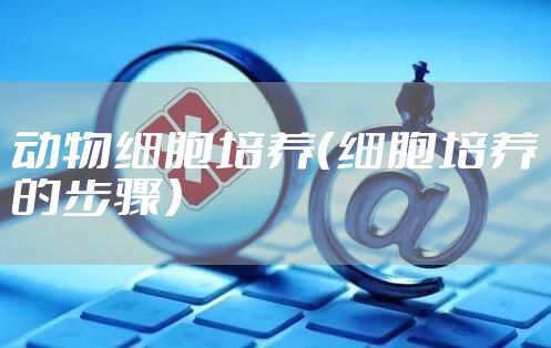 动物细胞培养（细胞培养的步骤）