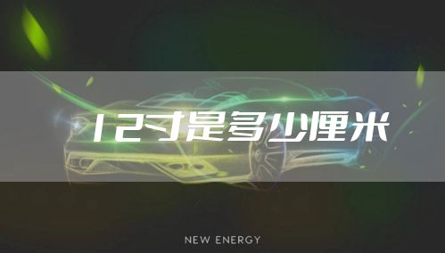 12寸是多少厘米