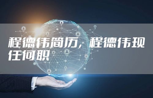 程德伟简历，程德伟现任何职