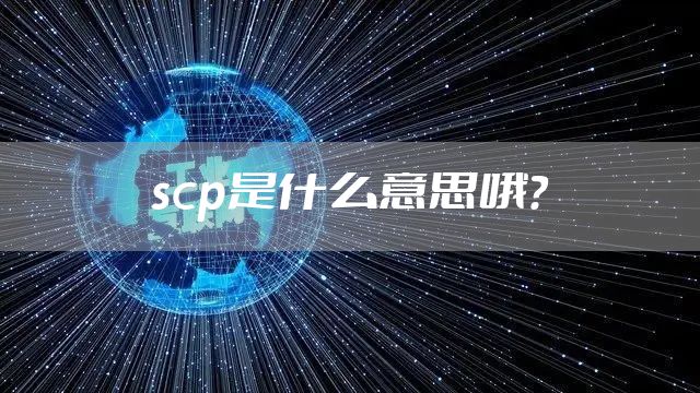 scp是什么意思哦？