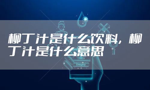 柳丁汁是什么饮料，柳丁汁是什么意思