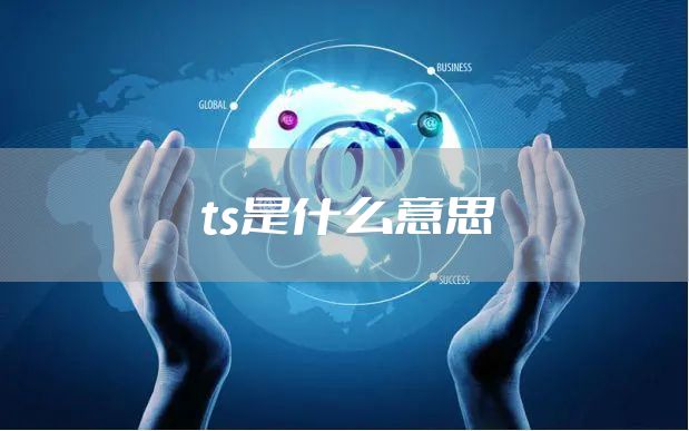 ts是什么意思