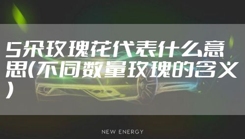5朵玫瑰花代表什么意思（不同数量玫瑰的含义）