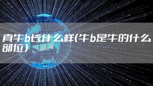 真牛b长什么样（牛b是牛的什么部位）