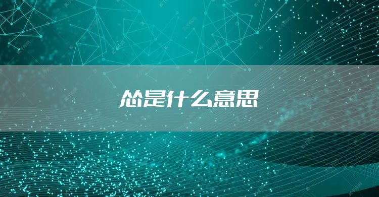 怂是什么意思