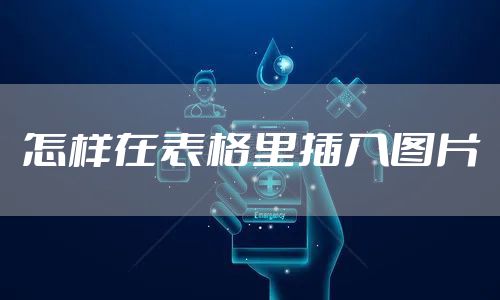 怎样在表格里插入图片