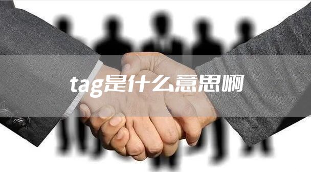 tag是什么意思啊