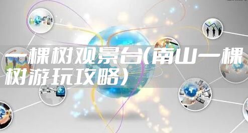 一棵树观景台（南山一棵树游玩攻略）