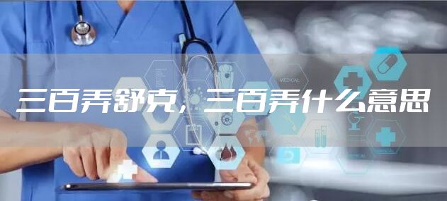 三百弄舒克，三百弄什么意思