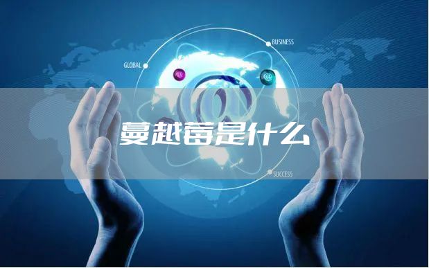 蔓越莓是什么