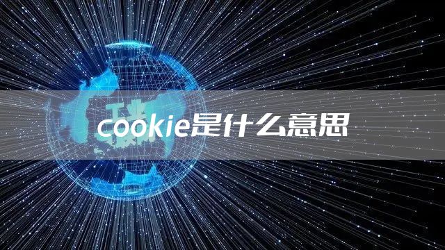 cookie是什么意思