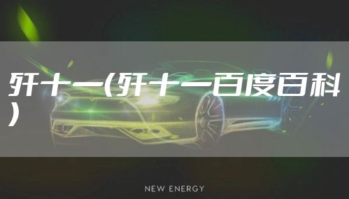 歼十一（歼十一百度百科）