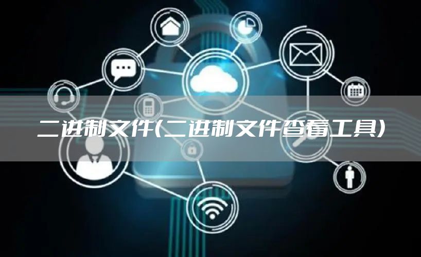 二进制文件（二进制文件查看工具）