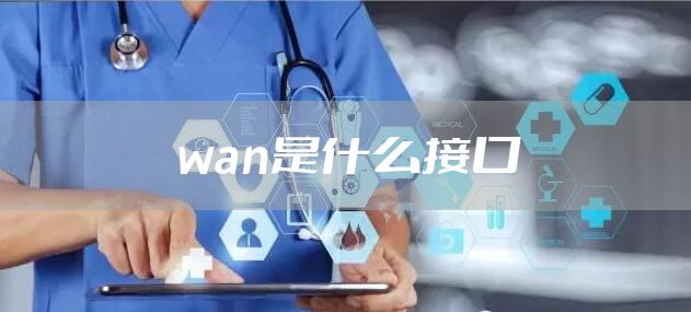 wan是什么接口