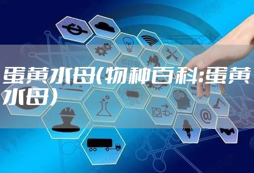 蛋黄水母（物种百科：蛋黄水母）