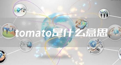 tomato是什么意思
