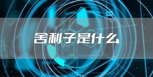 舍利子是什么