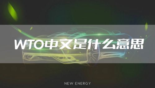 WTO中文是什么意思