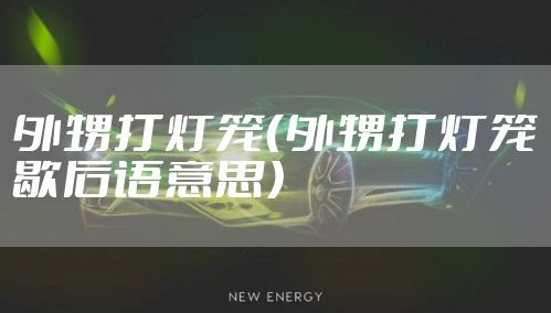 外甥打灯笼（外甥打灯笼歇后语意思）