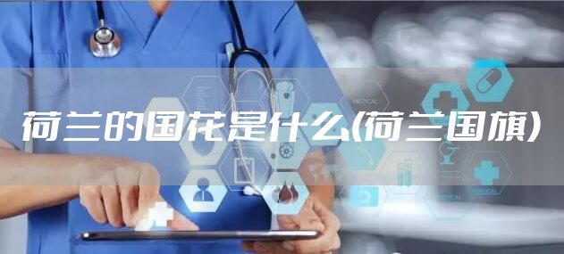 荷兰的国花是什么(荷兰国旗)