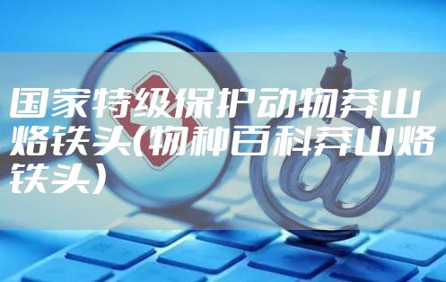 国家特级保护动物莽山烙铁头（物种百科莽山烙铁头）