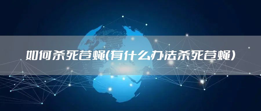 如何杀死苍蝇（有什么办法杀死苍蝇）