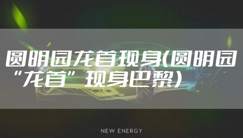 圆明园龙首现身（圆明园“龙首”现身巴黎）