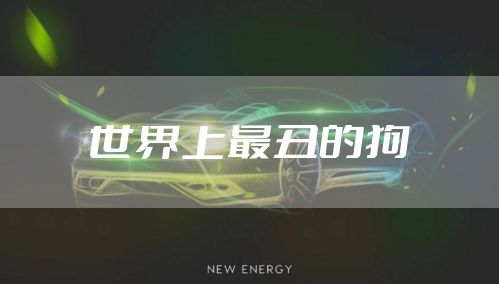 世界上最丑的狗