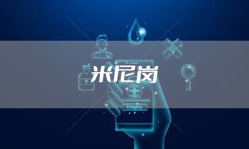 米尼岗