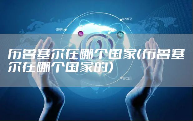 布鲁塞尔在哪个国家（布鲁塞尔在哪个国家的）
