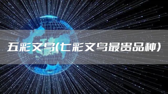 五彩文鸟（七彩文鸟最贵品种）
