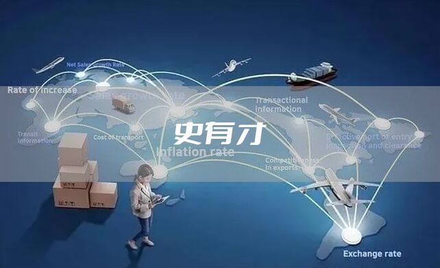 史有才