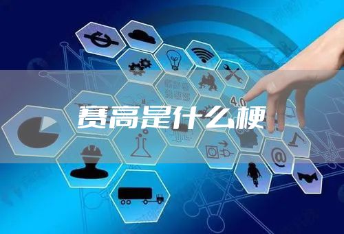 赛高是什么梗