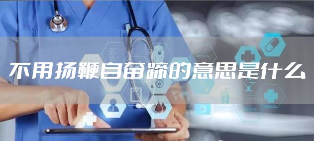 不用扬鞭自奋蹄的意思是什么