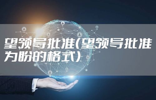 望领导批准（望领导批准为盼的格式）