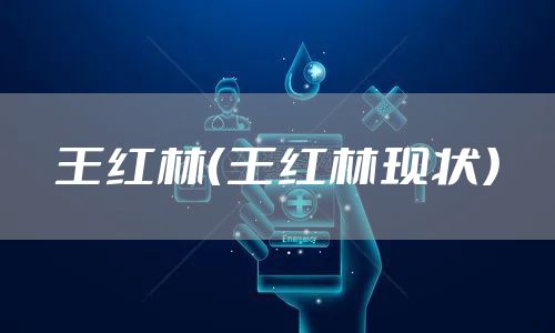 王红林（王红林现状）