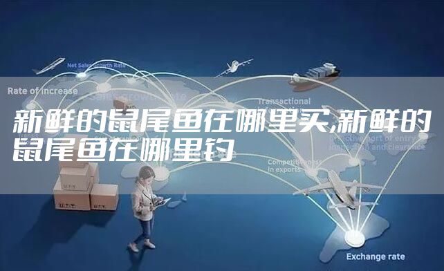 新鲜的鼠尾鱼在哪里买,新鲜的鼠尾鱼在哪里钓