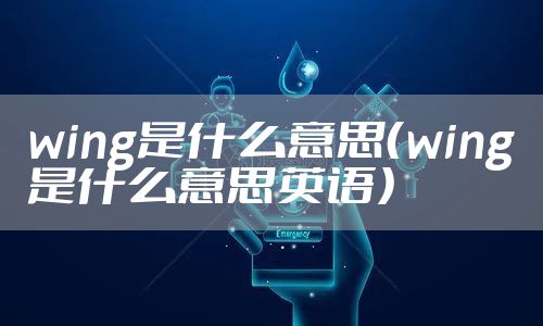 wing是什么意思（wing是什么意思英语）
