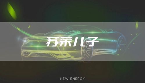 苏荣儿子