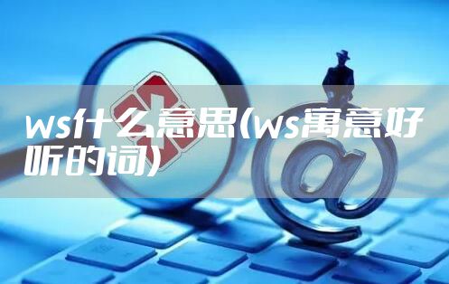 ws什么意思(ws寓意好听的词)