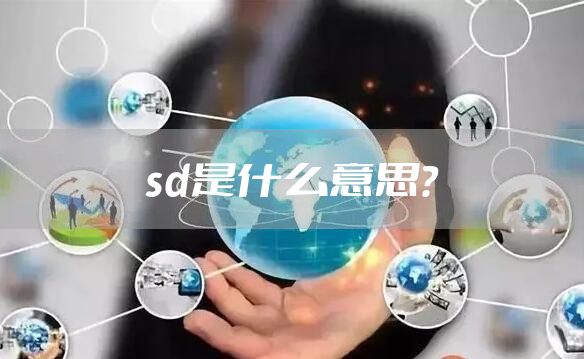sd是什么意思？