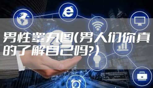 男性睾丸图（男人们你真的了解自己吗？）