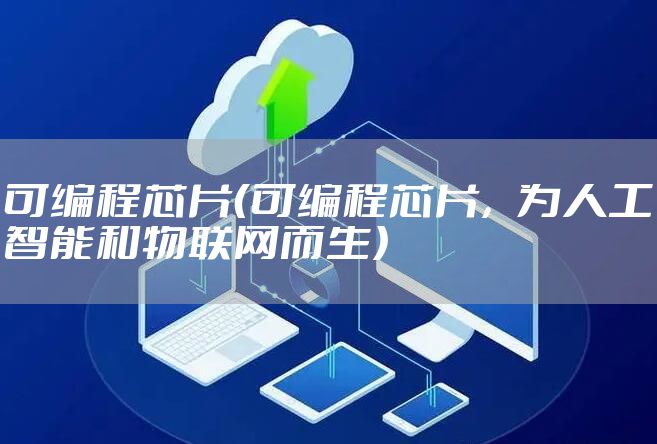 可编程芯片（可编程芯片，为人工智能和物联网而生）