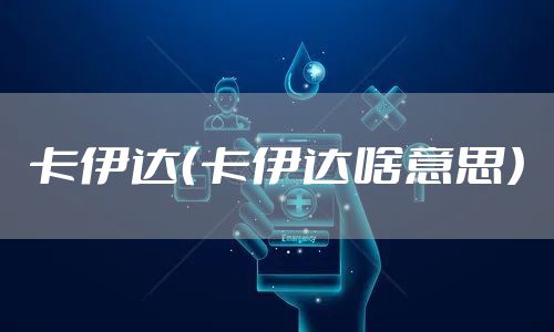 卡伊达（卡伊达啥意思）