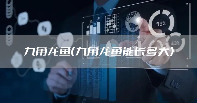 九角龙鱼（九角龙鱼能长多大）