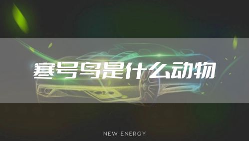 寒号鸟是什么动物