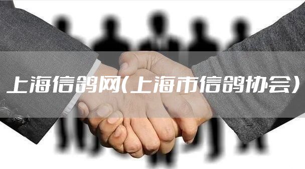 上海信鸽网（上海市信鸽协会）