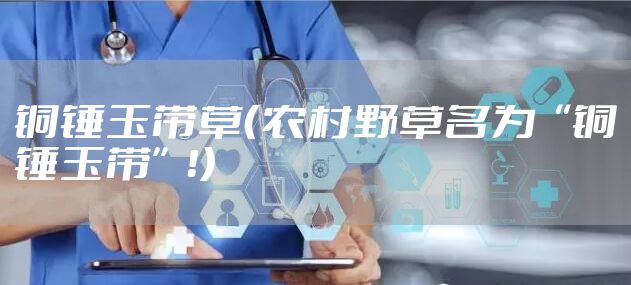 铜锤玉带草（农村野草名为“铜锤玉带”！）
