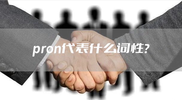 pron代表什么词性？