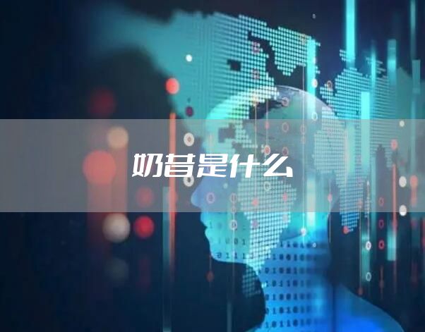 奶昔是什么